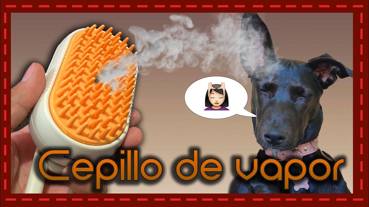 Carregar vídeo: 
